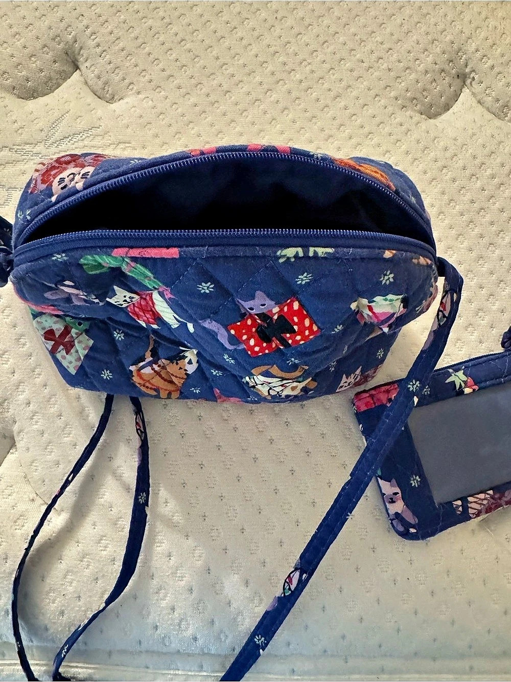 Blue & Red Printed Crossbody Bag